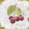 Garden Treasures IV Poster Print by Emily Adams - Item # VARPDX25987